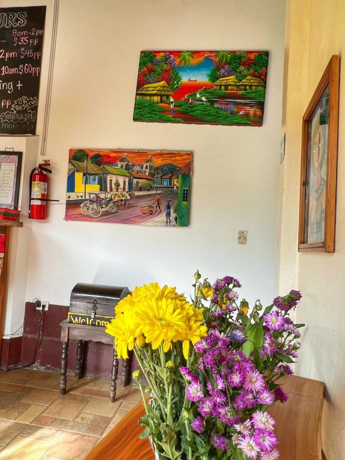 Hotel Al Sole León 외부 사진