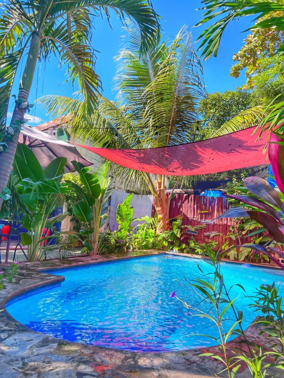 Hotel Al Sole León 외부 사진